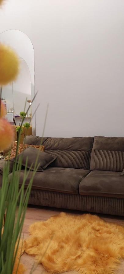 Apartament M Vatra Dornei Exteriér fotografie