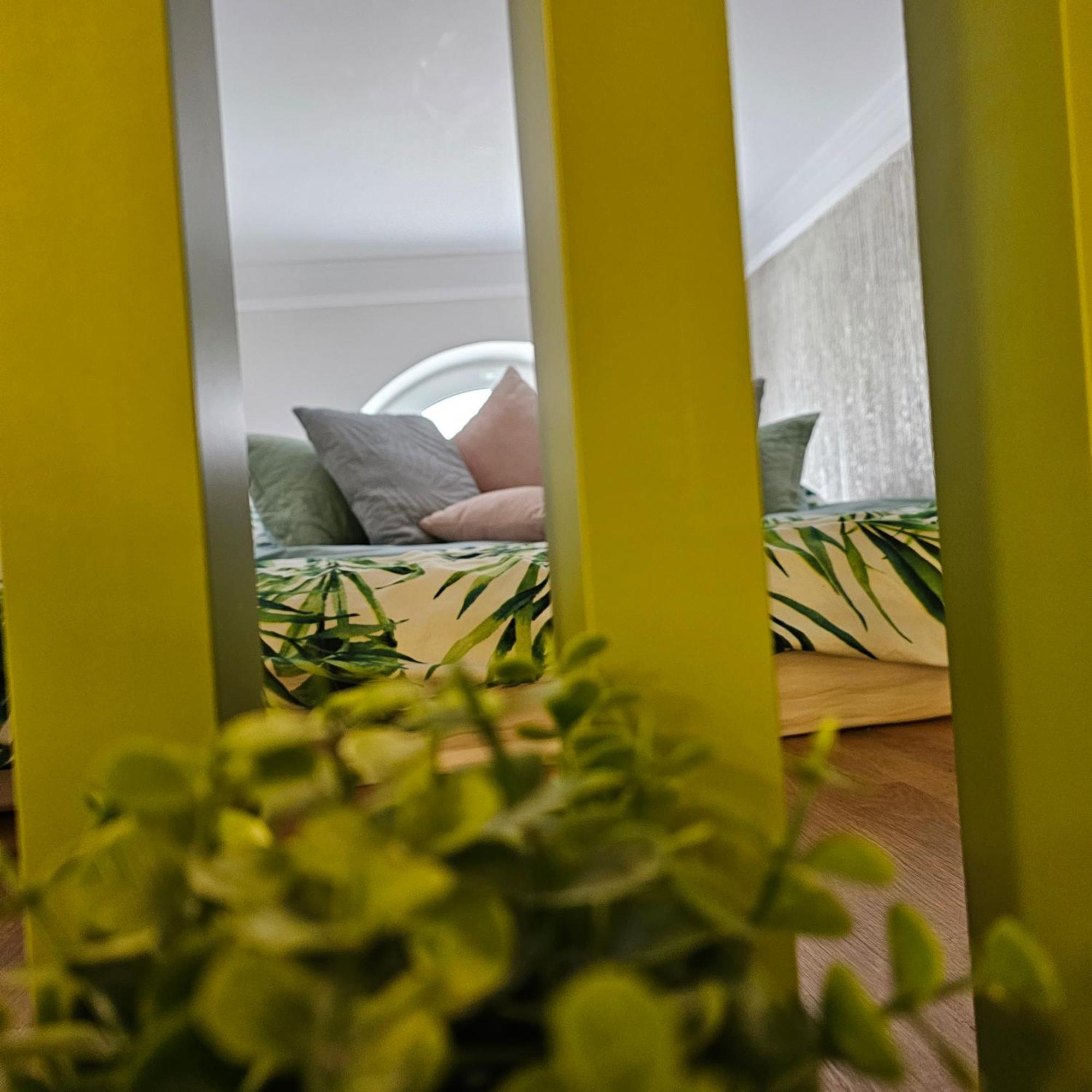 Apartament M Vatra Dornei Exteriér fotografie